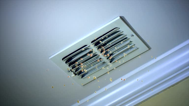 Best Ventilation Cleaning Services  in Bremen, IN