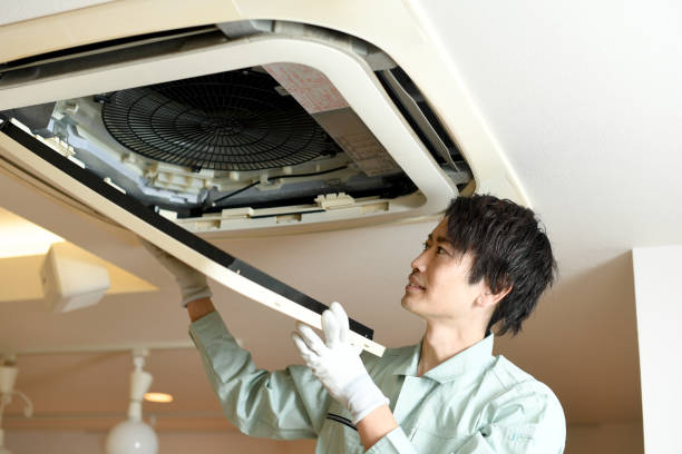 Best Air Duct Sanitizing Services  in Bremen, IN